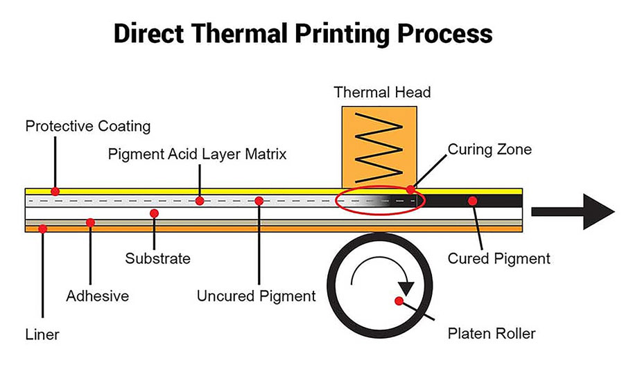 diagram of the direct thermal printing process